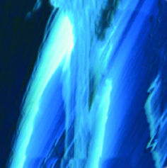 Click the image below to view a detail of the shell color